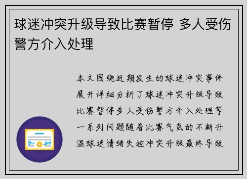 球迷冲突升级导致比赛暂停 多人受伤警方介入处理