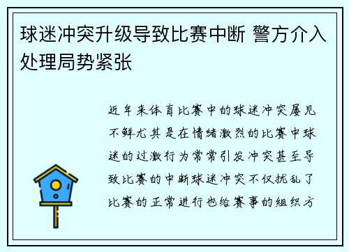 球迷冲突升级导致比赛中断 警方介入处理局势紧张